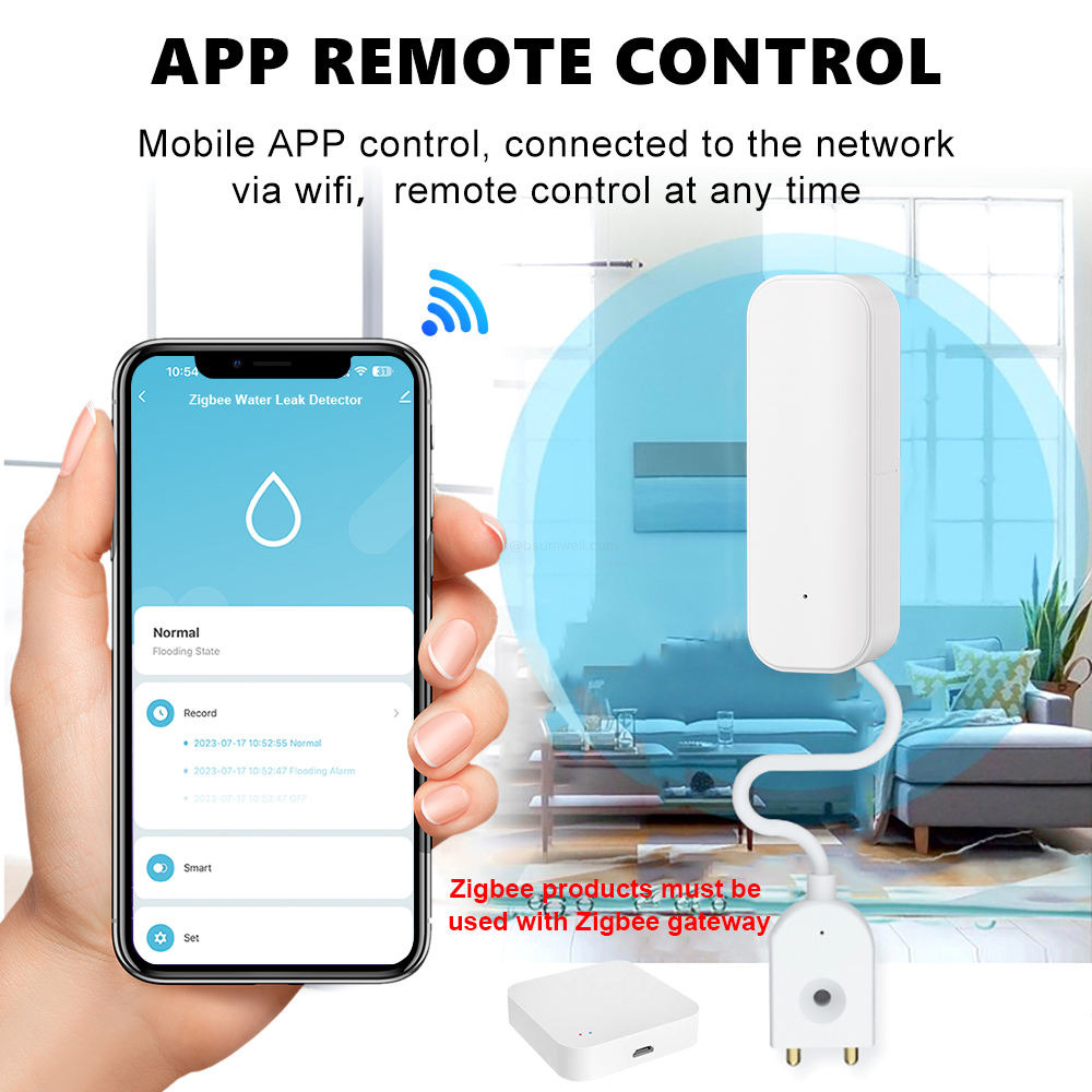 Smart flood sensor