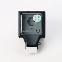 Professional Manufacturer IP66 Waterproof Cover Extension Outdoor Socket Wifi 16A Switches And Socket Wall Socket Works With Alexa Timer