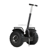48V 2000W 19 Inch Fat Tire Electric Convenient Covered Self Balanced Scooter Electric Kick Scooters & Foot Scooters
