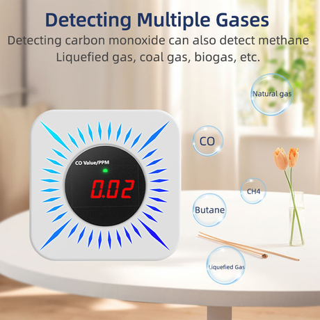 Smart WiFi Gas Leak Detector Combustible Gas Alarm Sensor for Natural Gas Methane LPG CO CH4