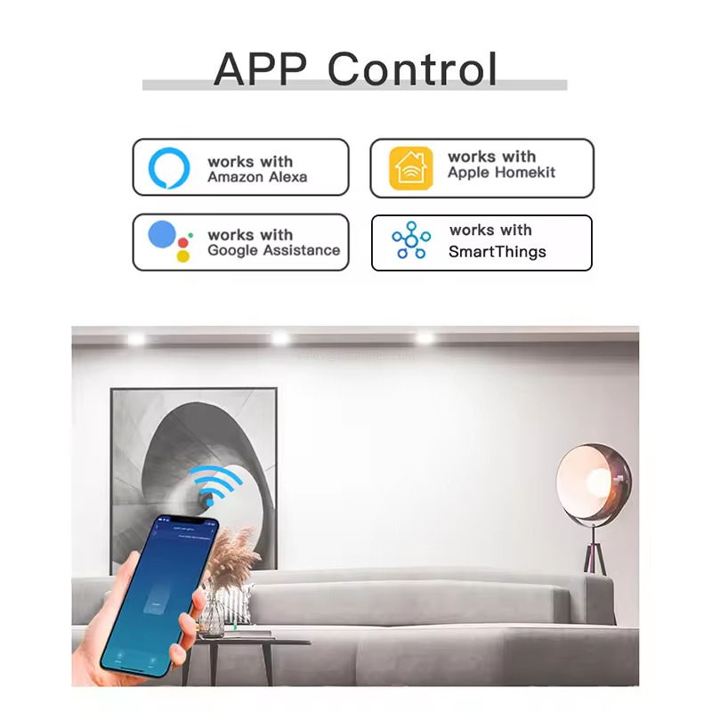 alexa Google Homekit Smart Plug
