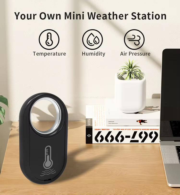 Your Own Mini Weather Station