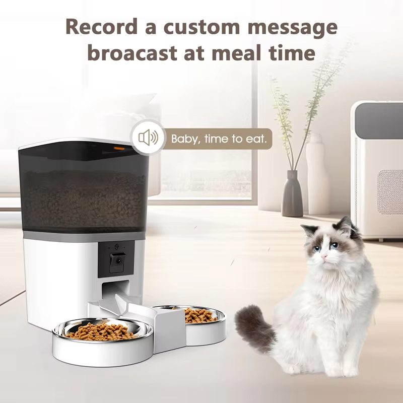 Record a custom message broacast at meal time