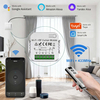 Smart WiFi+RF Curtain Switch Blind Motors Tuya APP 5-Channel Remote Control Learning/Rolling Code for Wireless On Off Garage 