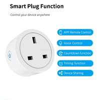 UK 16A WiFi Smart Plug Voice Remote Control Timing Function CE RoHS Certified For Home High Power Appliances