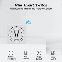 Tuya Wifi Mini Smart Switch 16A 2-Way DIY Switches SmartLife App Timer Module Support Alexa Google Home