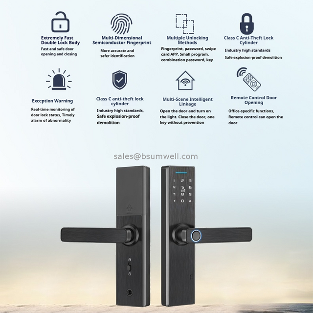 OEM Factory Smart Home Digital Lock Residence lockable door knob keyed entry door handle