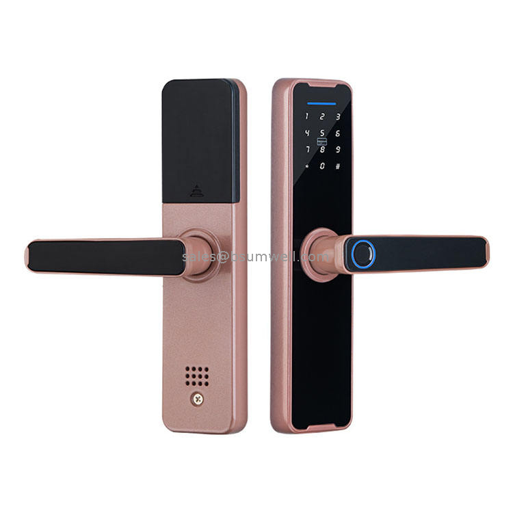 Posher Intelligent Biometric Fingerprint Door Lock Multiple Function Digital Electronic Outdoor Of Smart Door Lock For Door