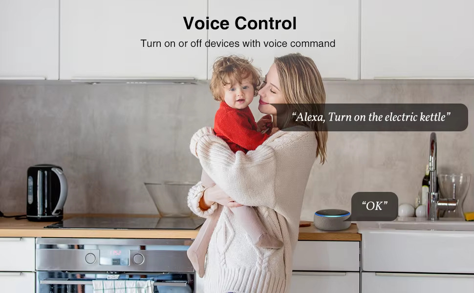 Voice Control Turn on or off devices with voice command
