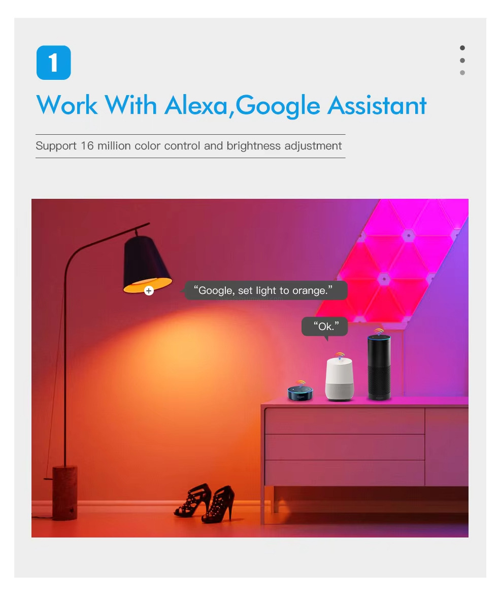 Work With Alexa,Google Assistant