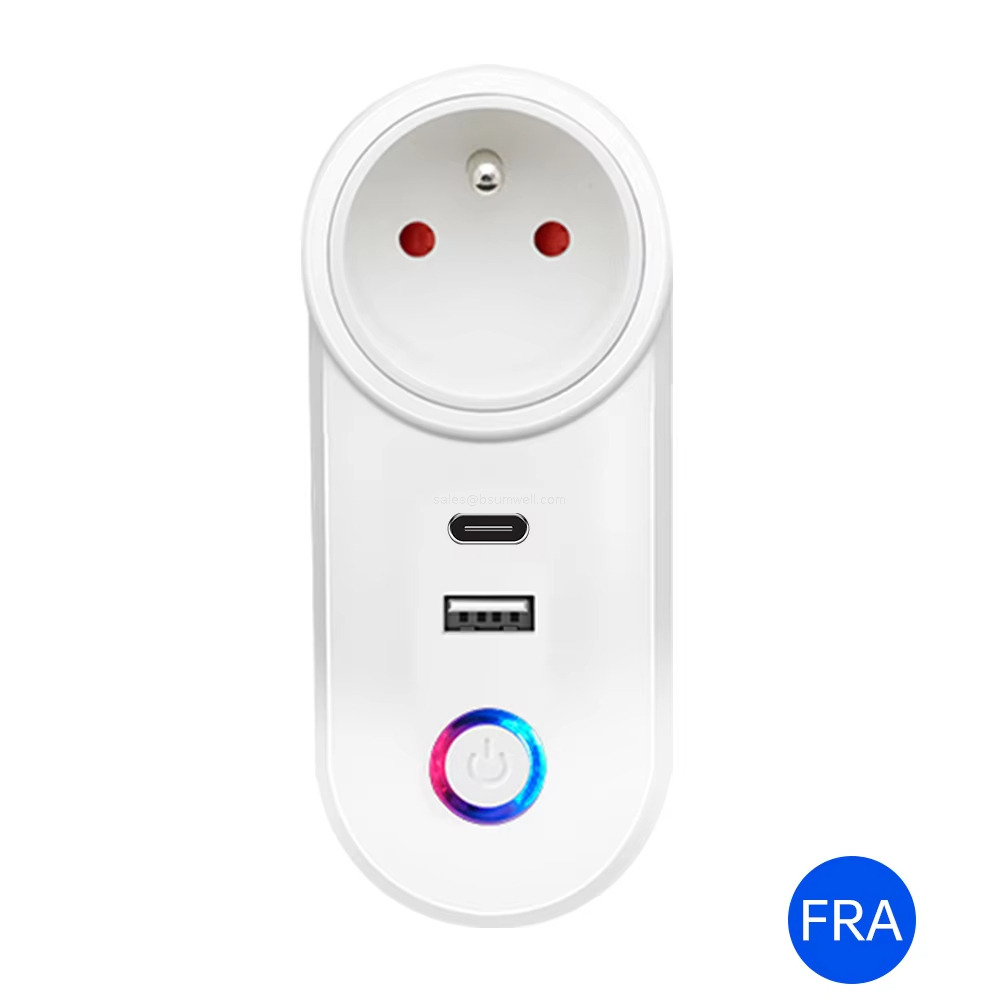 FR Smart Socket with USB