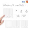 CE FCC RoHS certified smart switch