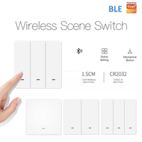 CE FCC RoHS certified smart switch