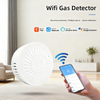 Alexa Google Assistant Gas Detector