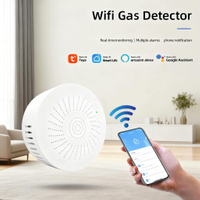 Alexa Google Assistant Gas Detector