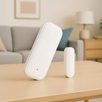 Alexa Google Home Door Sensor