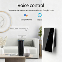 voice-controlled remote light switch