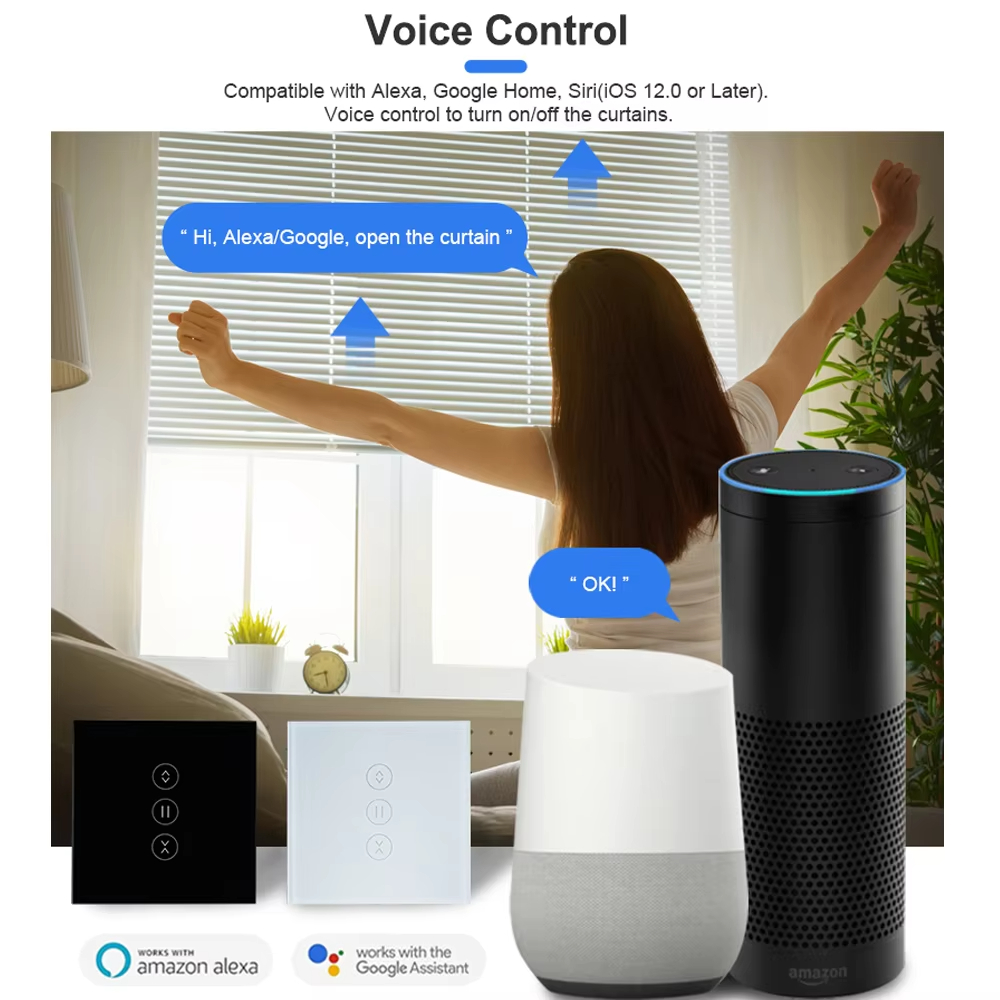 Voice Control