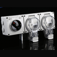 three-pin dual gang switch socket