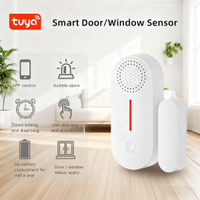 Child Safety Intruder Detection Device