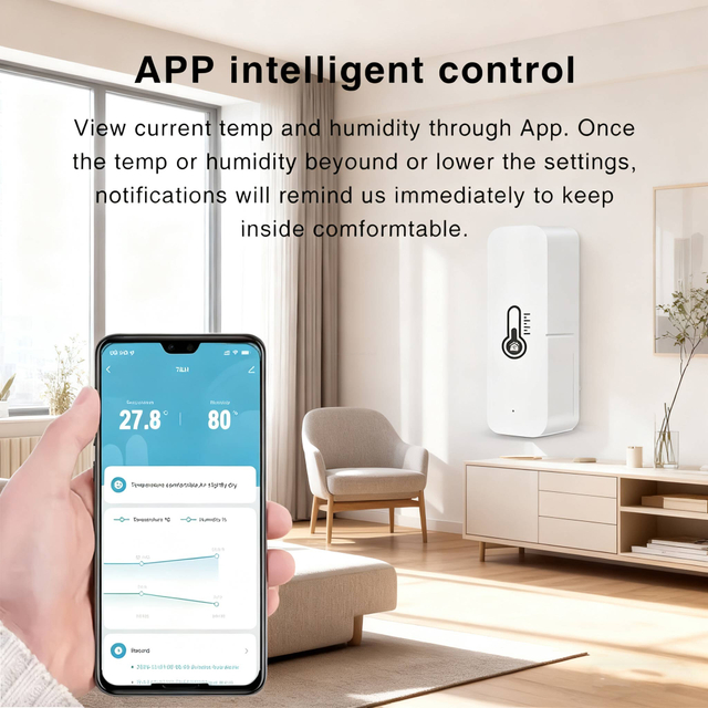 CE ROHS Smart Temp Humidity Monitor