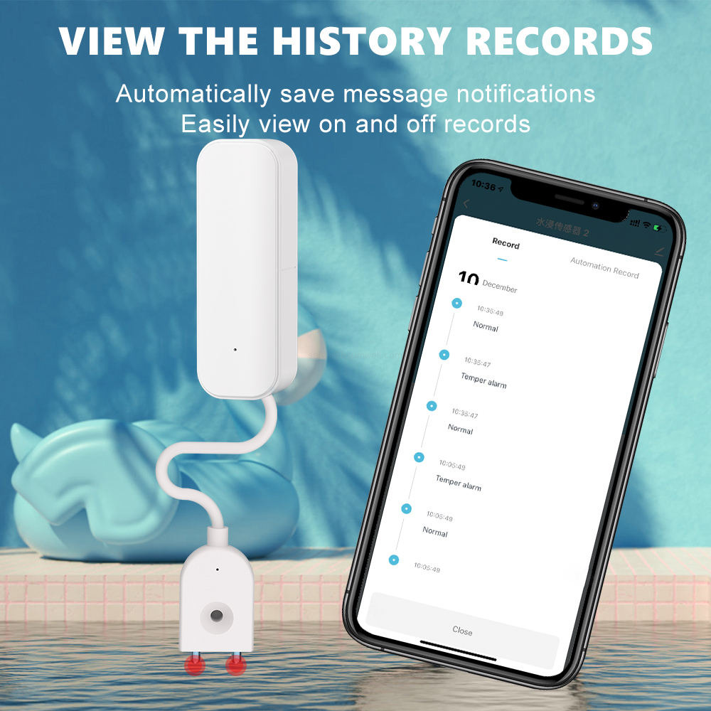 Wireless immersion sensor