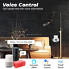 Wireless Remote Voice Adapter Charging Port Timer Google Home Alexa 16A US Plug Tuya Wifi Smart Usb Socket