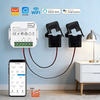 80A Dual Channel Tuya Smart Energy Meter