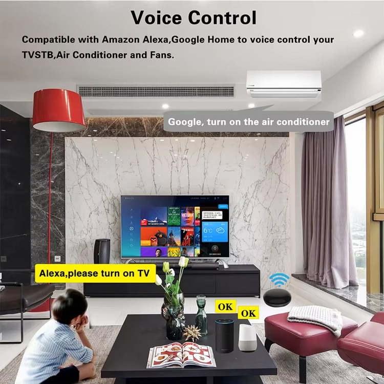 Voice Control