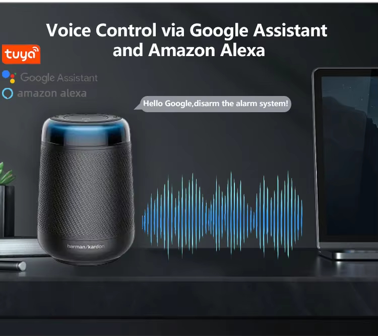 Voice Control via Google Assistant and Amazon Alexa