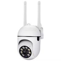 indoor outdoor wireless monitoring camera