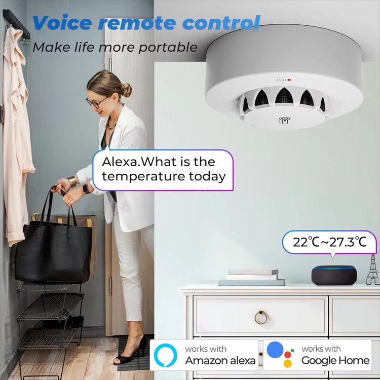 Voice remote control Make life more portable