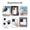 Temperature/Time/Light Voice Control Tuya ZigBee/WiFi Smart Display Switch with 3 Colors, Non-Neutral/Neutral Wiring