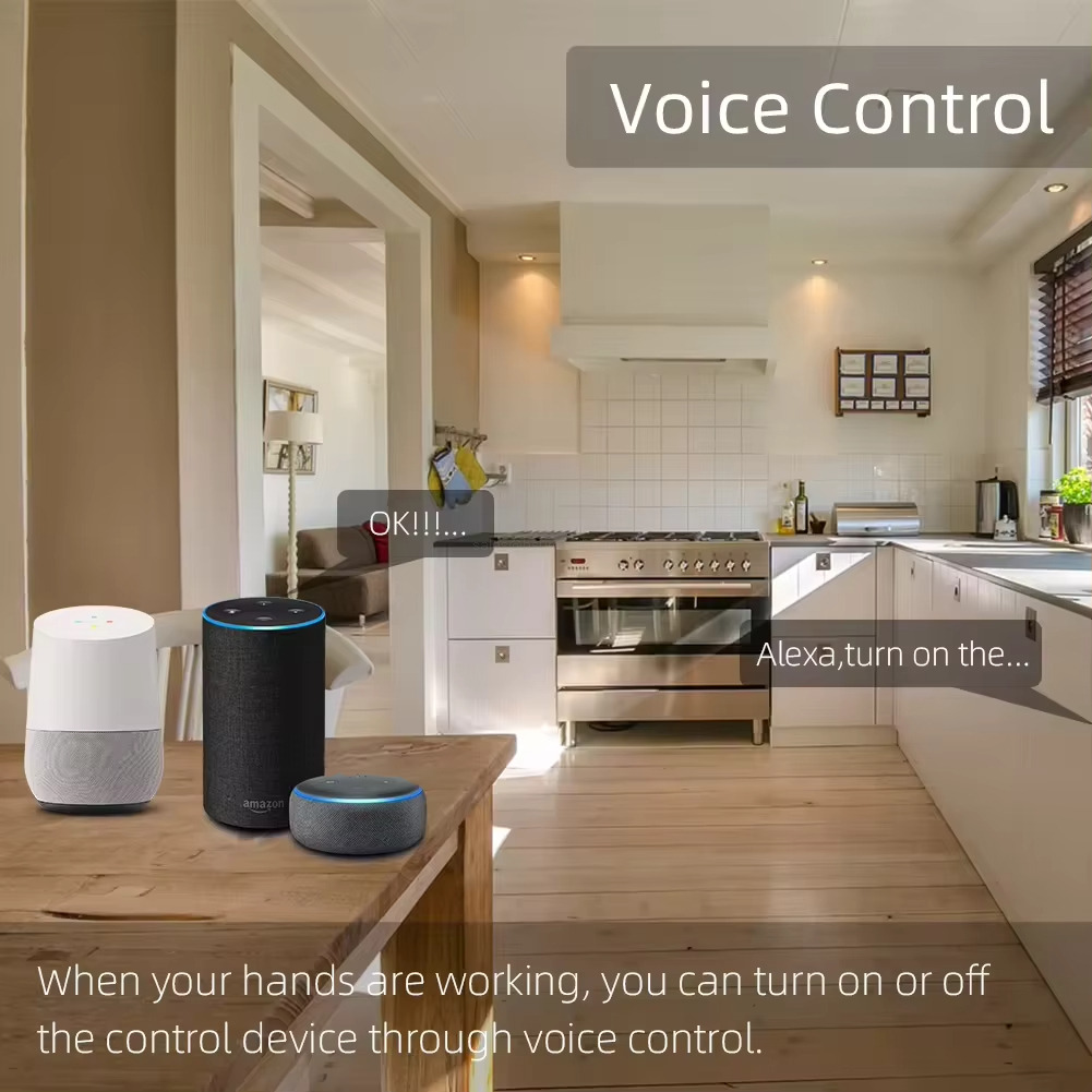 Voice Control