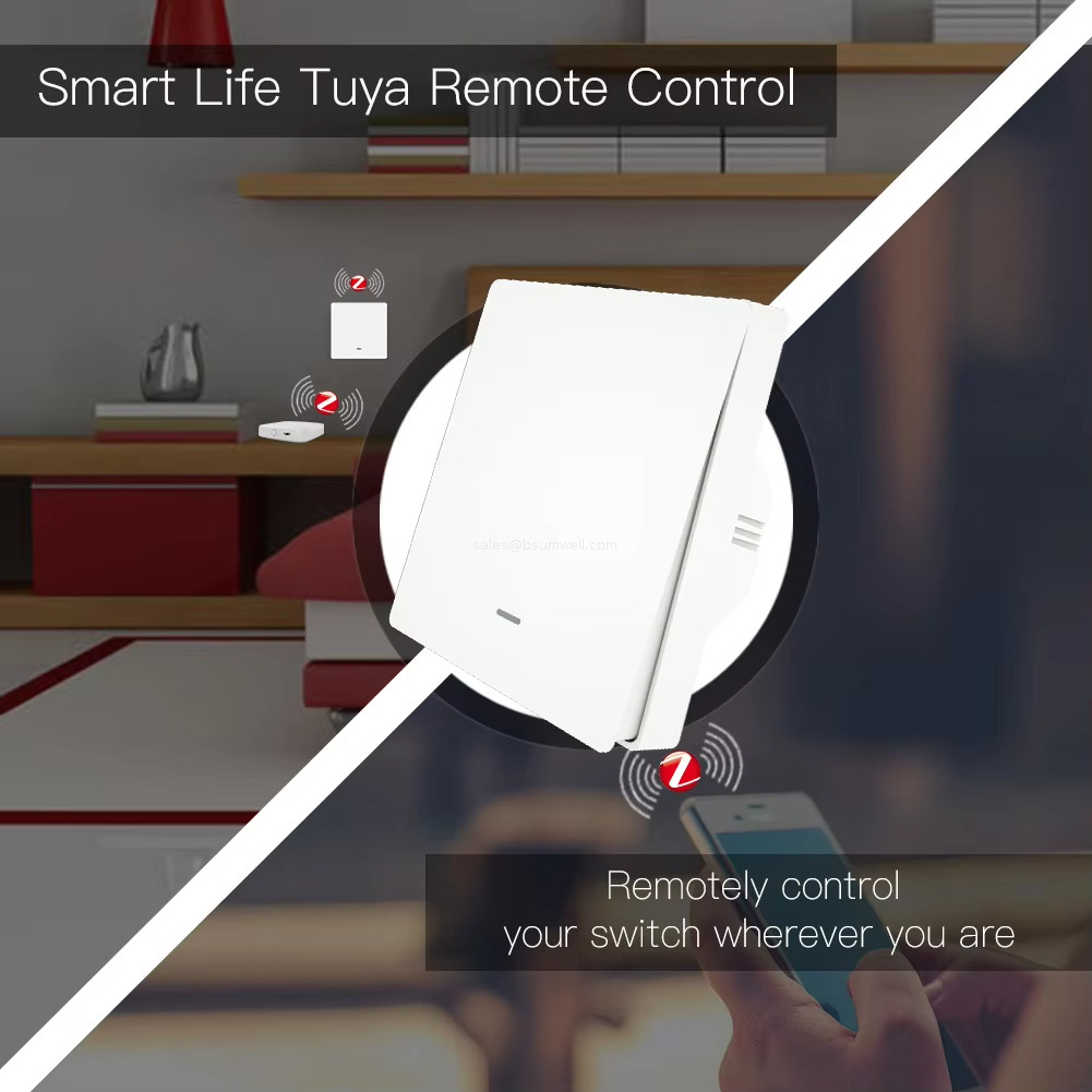 Smart Life Tauya Remote Control Remotely controlyour switch wherever you are