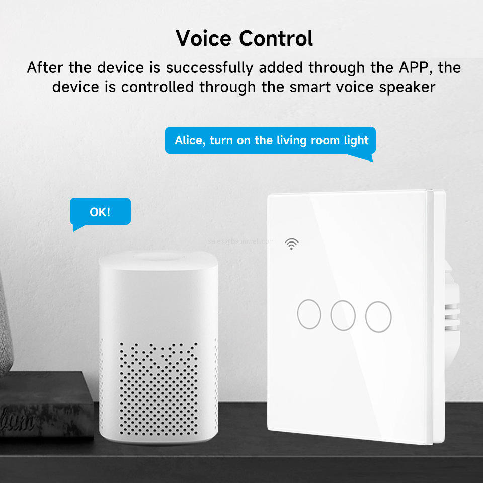 Alexa Google voice control smart switch