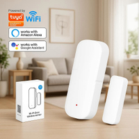 Alexa Google Home Door Sensor