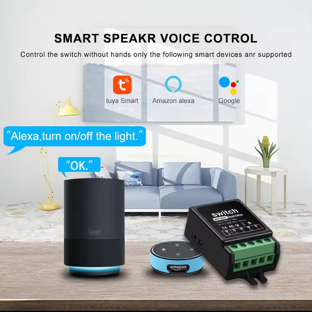 Tuya Dry Contact Wifi RF Relay Switch Module with Voice & APP Remote Control 12v for Electric Lock
