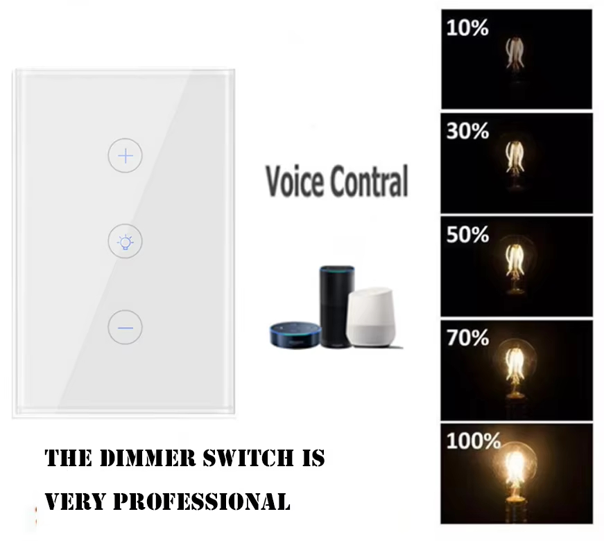 Voice Contral wifi Touch Glass Panel Switch 