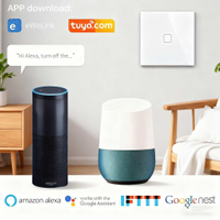 EU Standard 220V Smart Wall Switch