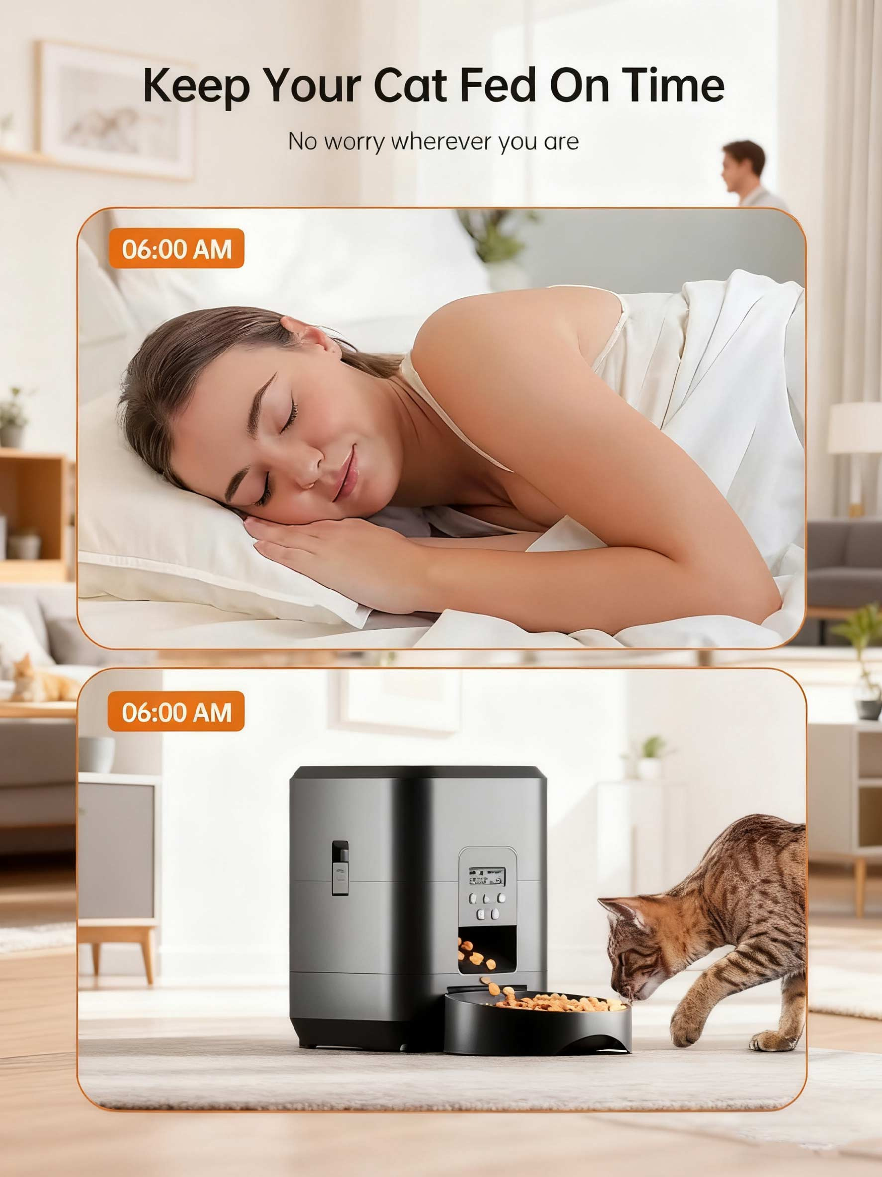 WiFi automatic pet feeder