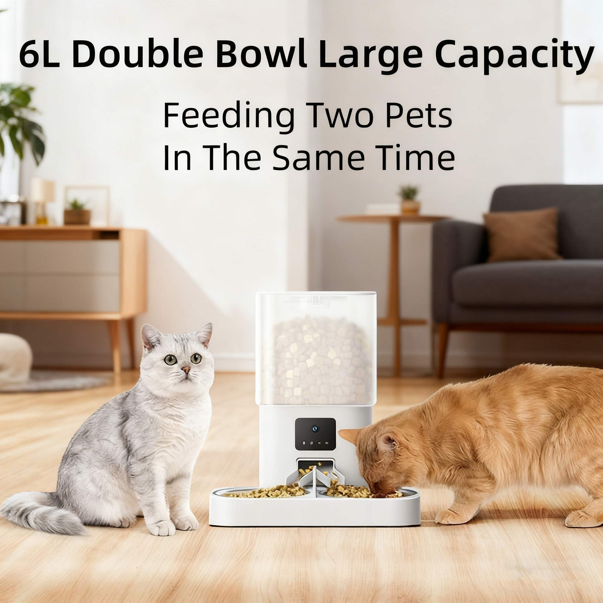 pet camera feeder
