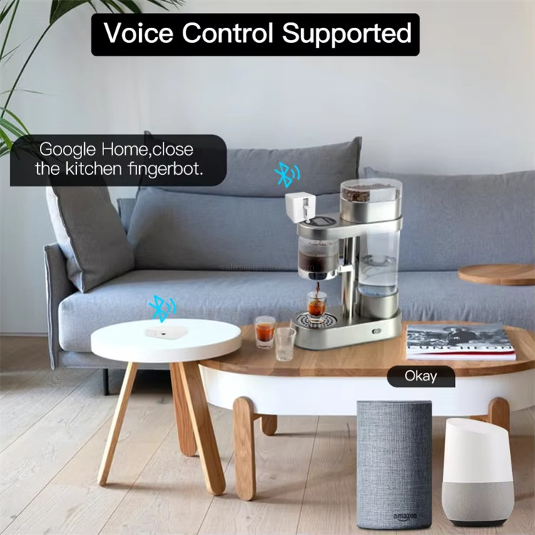 Voice Control Supported Google Home,closethe kitchen fngerbot.