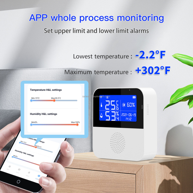 Home Assistant WiFi Smart Home Assistant Tuya Smart Temperature And Humidity Sensor