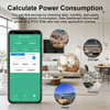 Voice-Controlled Home Energy Consumption Meter
