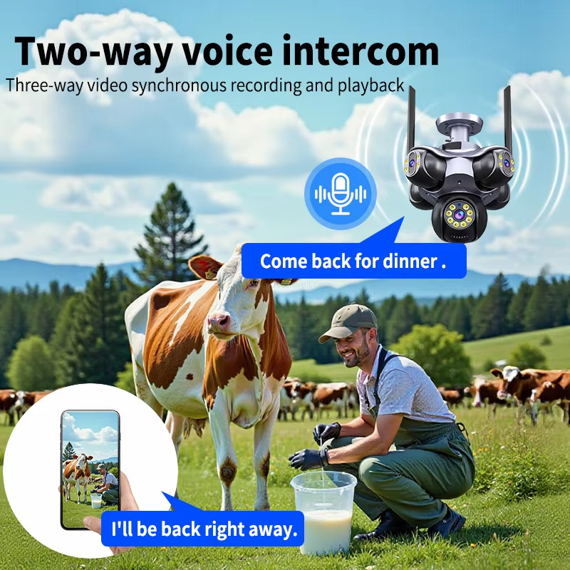 Two-way voice intercom