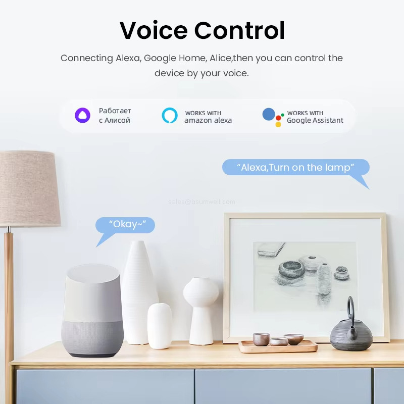 Voice Control Connecting Alexa, Google Home, Alice, then you can control the device by your voice.