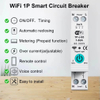 WiFi 1p Smart Circuit Breaker