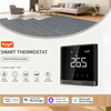 16A smart thermostat