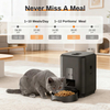 WiFi cat Dog Dry Food Dispenser